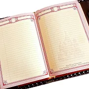 Ежедневник мужской ''Дракон'' — оригинальный подарок — фотография 3